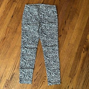 White House Black Market leopard pants